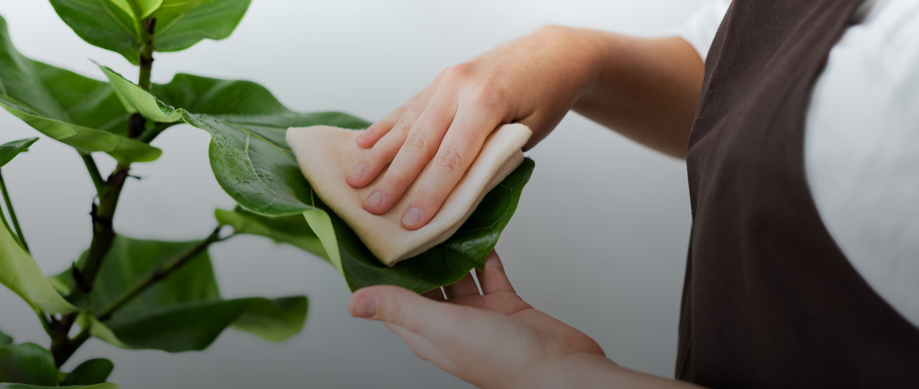 기존식물 관리 히어로