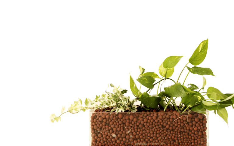 캐비넷 플랜트박스