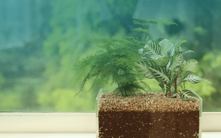 캐비넷 플랜트박스 hover