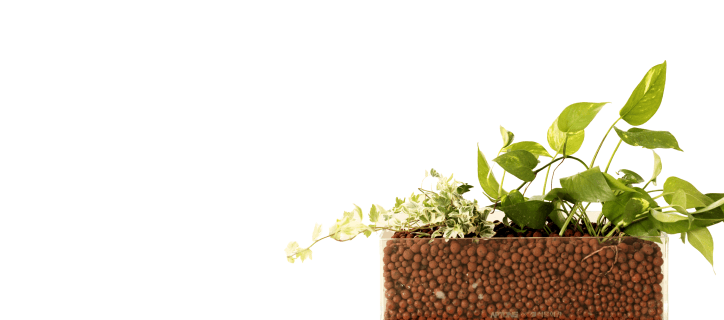 캐비넷 플랜트박스