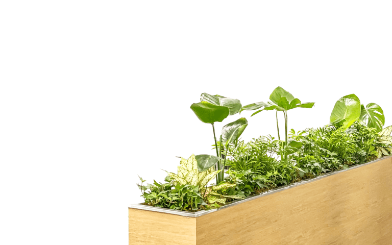 대형 플랜트박스