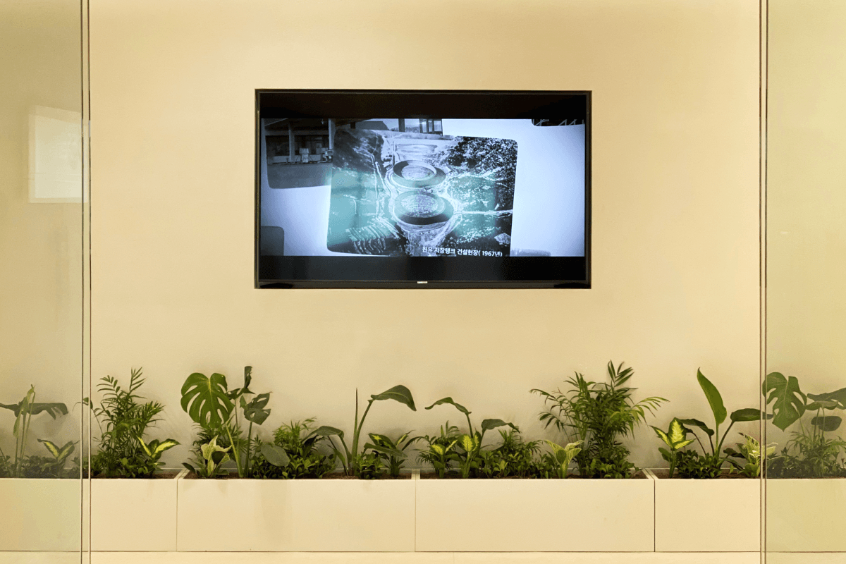 대형 플랜트박스