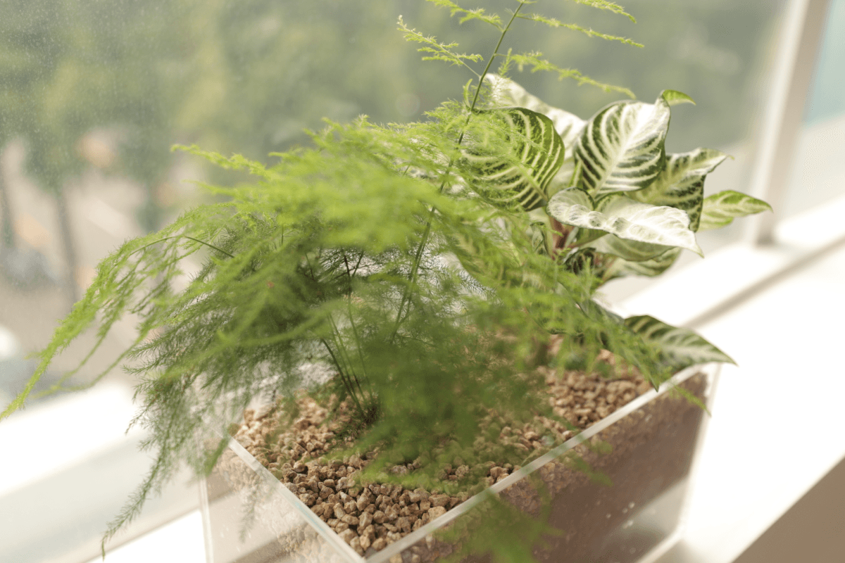 캐비넷 플랜트박스