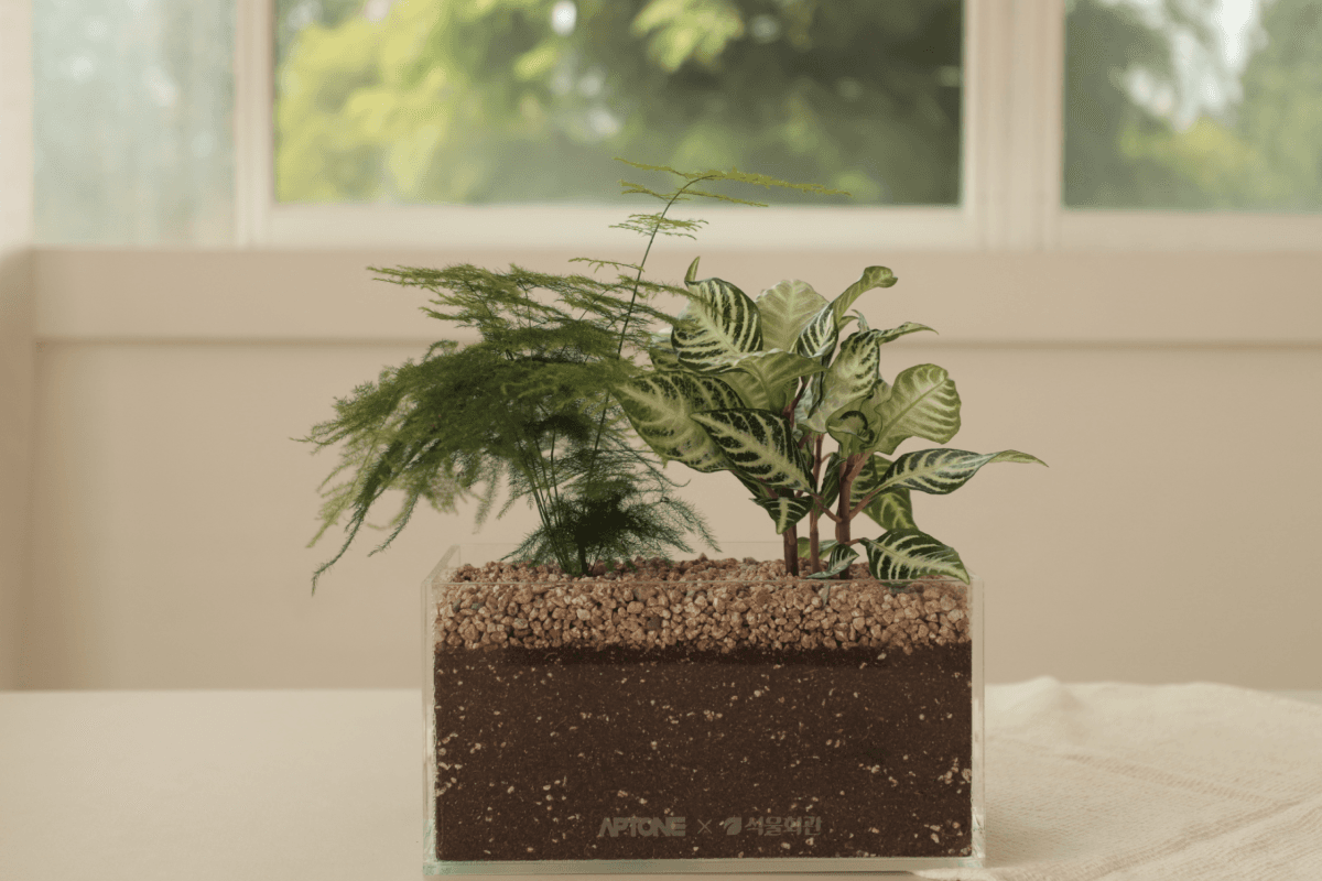 캐비넷 플랜트박스